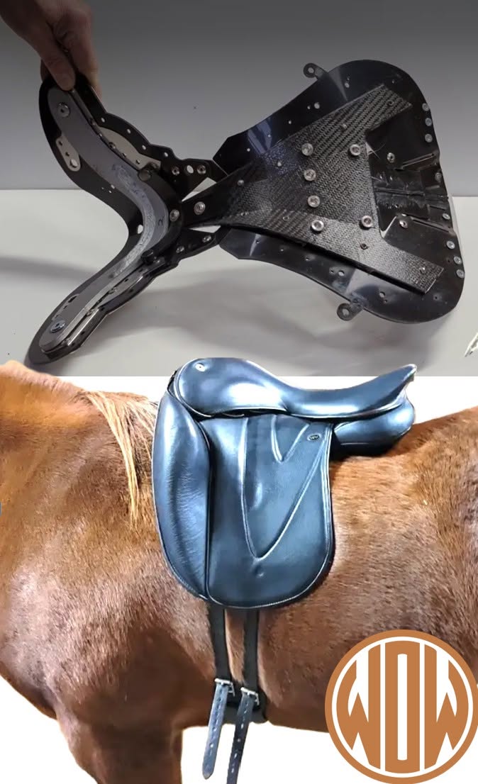 How WOW Saddles Sit On The Scapula Differently (And Why It Matters)