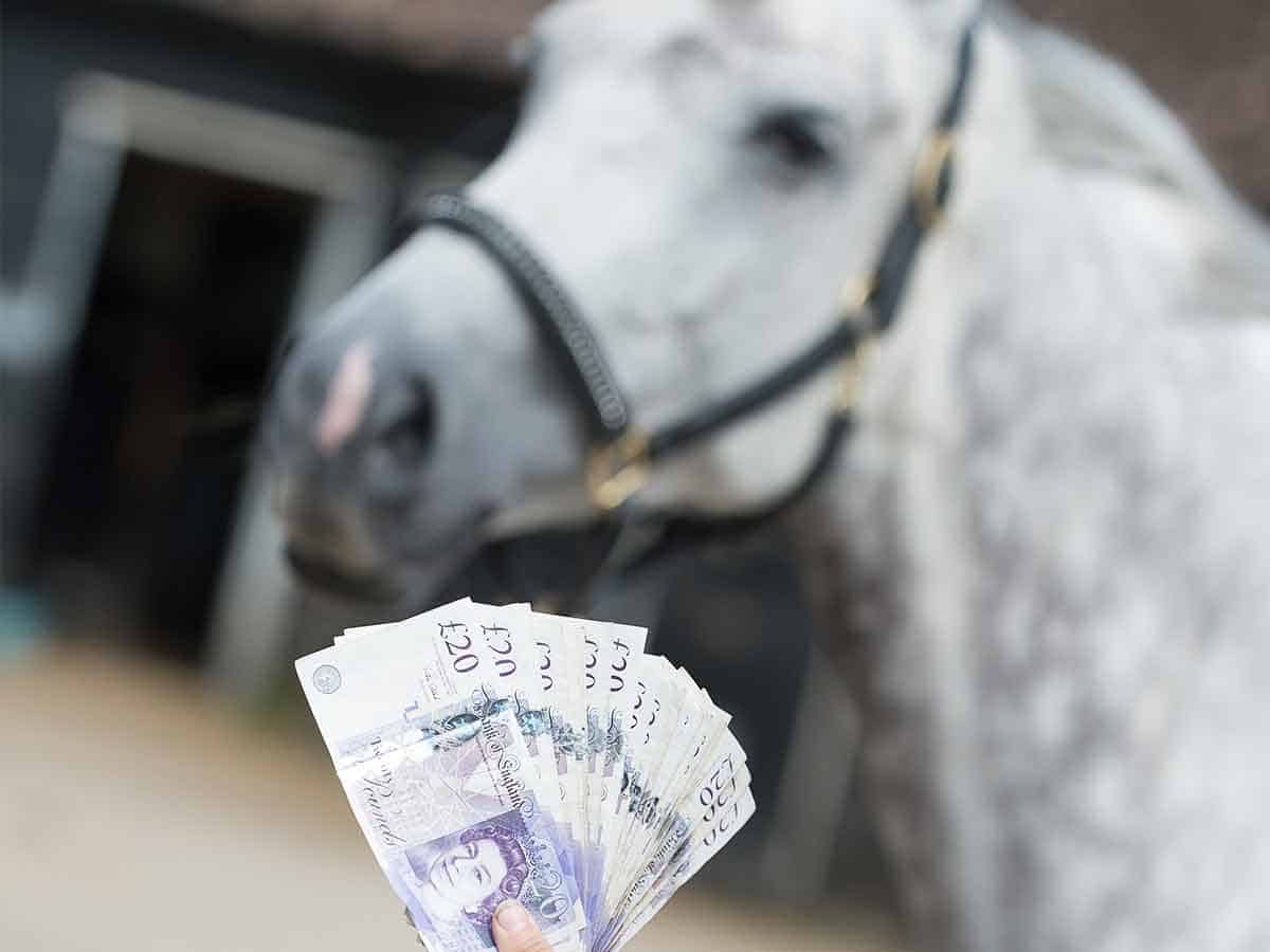 How to Save Money with Horse Ownership — Practical Tips for Every Budget