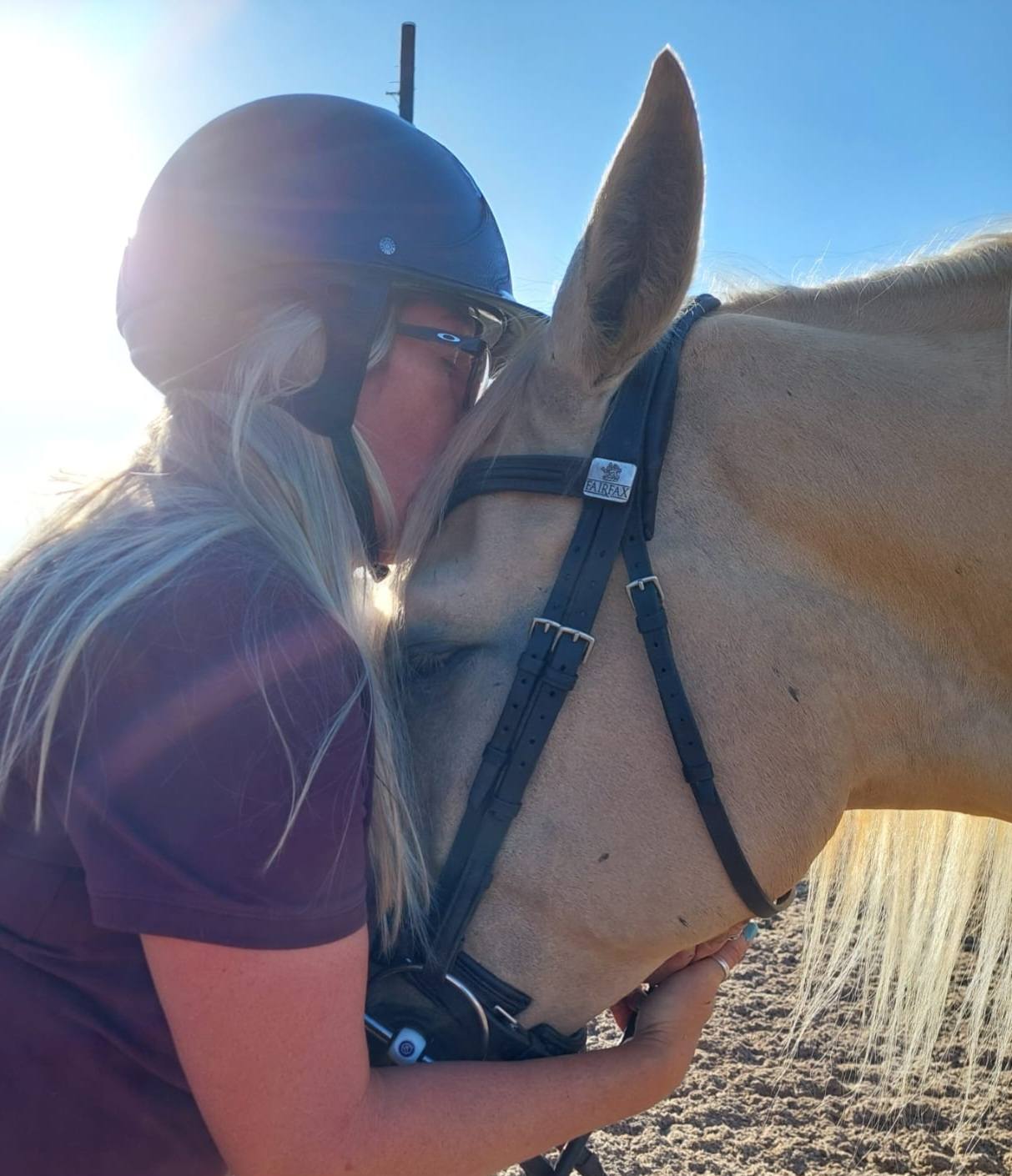 How The Fitted Horse Was Born — A Story of Heart, Heartbreak, and Finding My Purpose
