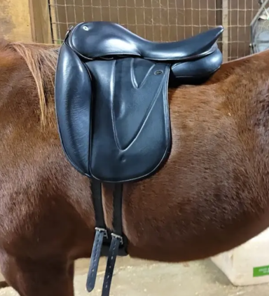 WOW saddle panel contact and weight distribution - The Fitted Horse professional saddle fitting consultation in Northamptonshire WOW saddle panel contact and weight distribution - The Fitted Horse professional saddle fitting consultation in Northamptonshire