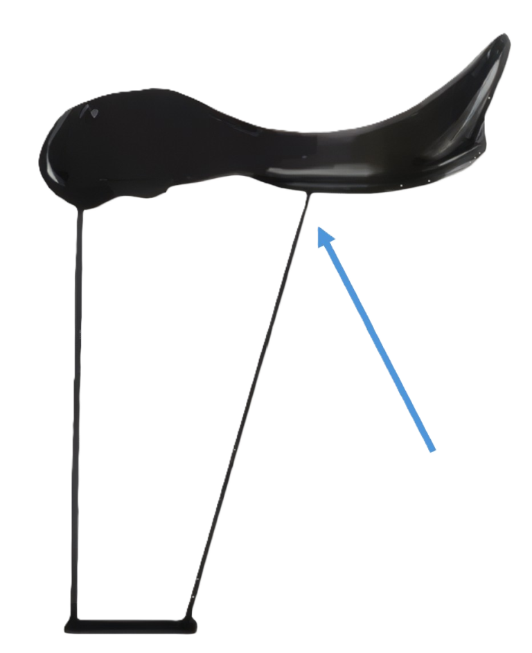 The Fitted Horse Bit, Bridle & WOW Saddle Fitting