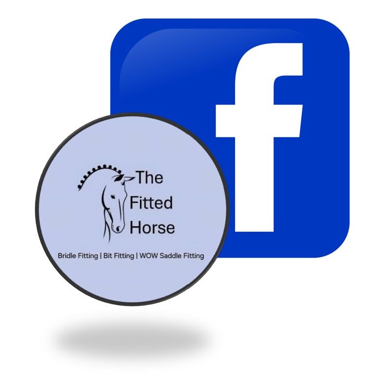 The Fitted Horse Bit, Bridle & WOW Saddle Fitting The Fitted Horse Bit, Bridle & WOW Saddle Fitting